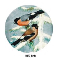 Pintassilgos, pintarroxos reais, e outras aves de fauna europeia registada ICN-B