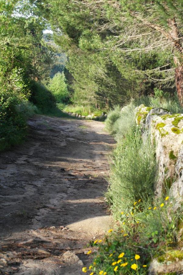 Quinta 6527 m2 para construção 3405 Andorinha OdH