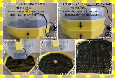 chocadeira semi automatica varias tipos