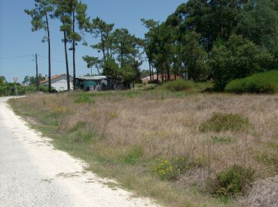 Vendo terreno urbano 4186 m2