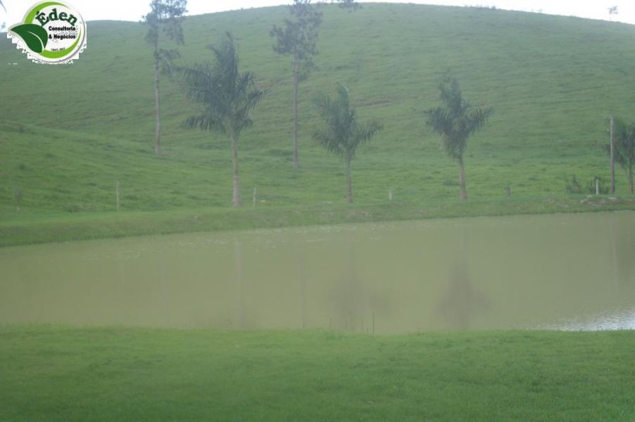 Fazenda pecuária e pupunha Vale do Ribeira, São Paulo, Brasil. 