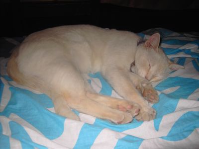 Casinha para férias em Ponte de Lima