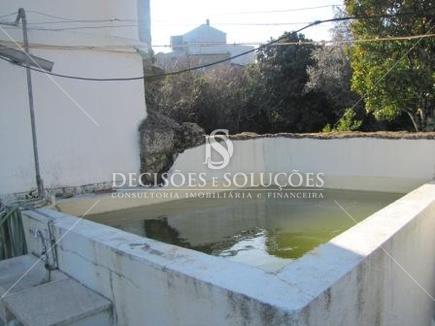 Oportunidade - Quintinha em Louriçal do Campo