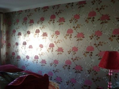 Nuno aplicador de papel de parede e murais