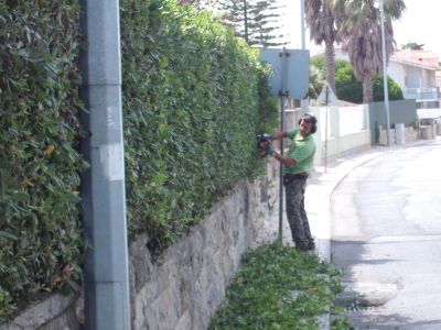 Jardinagem em Santa Cruz / Torres Vedras