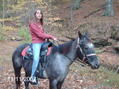 Appaloosa Roan Blue Venda