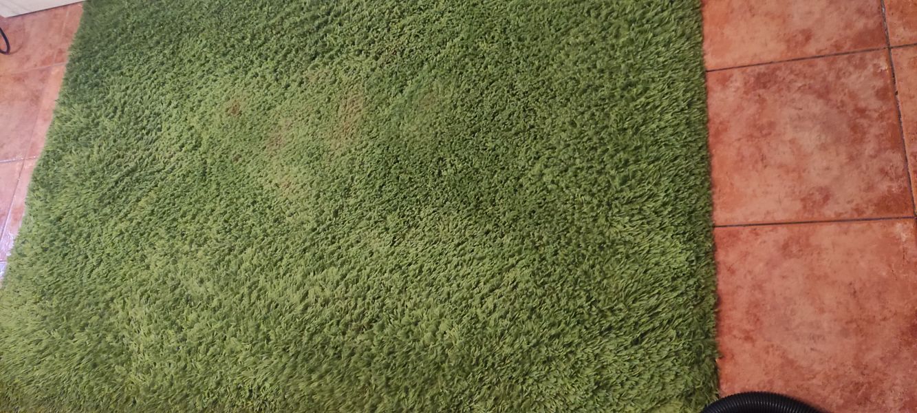 Serviços de limpeza 