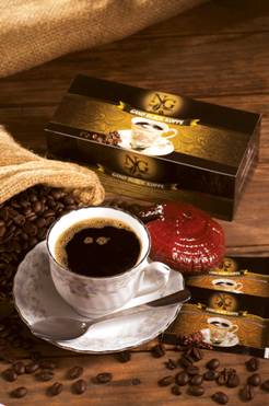 Bebidas Enriquecidas com Ganoderma Lucidum ( o rei da medecina natural )