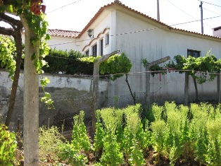 Quintinha aprazível em Rio de Mouro próxima Retail Park e Forum Sintra