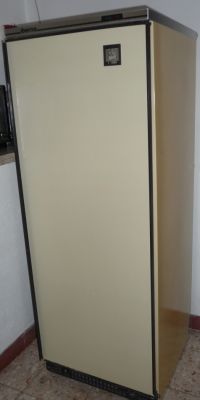 Arca frigorifica vertical 1.61m