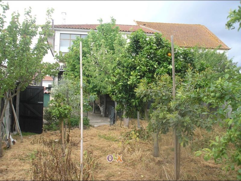 Moradia com áreas amplas e com quintal de frutas