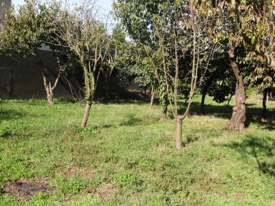 Lote de terreno em  Infias - Vizela    
