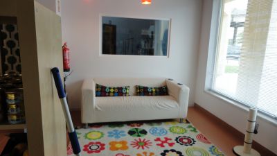 loja para animais Oeiras