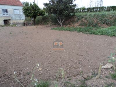 Renovation project in Alcobaça, Lameira