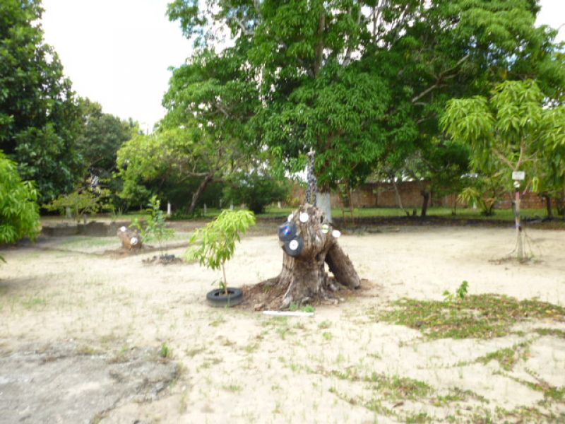 Blend Eldorado in Goiana/Pernambuco/Brazil.