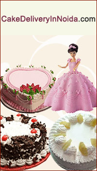 Sweeten Your Life with the Taste of Delicious Cakes