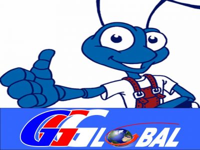 Gonçalves & Gouveia Global, lda