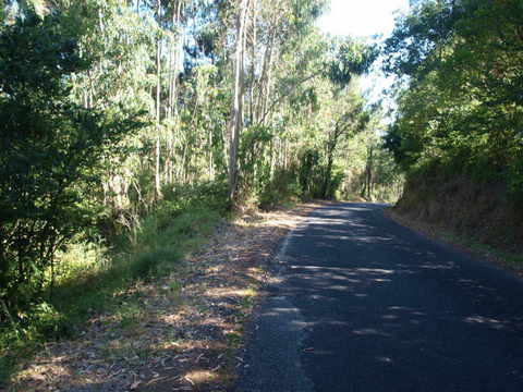 Na Costa de Prata terreno com 2 artigos. Rústico com 3880 m² e um urbano, com ruina registada com ár