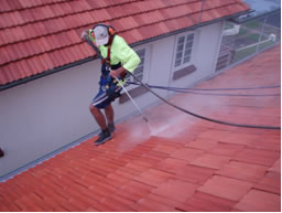 Reparação de Telhados e Terraços