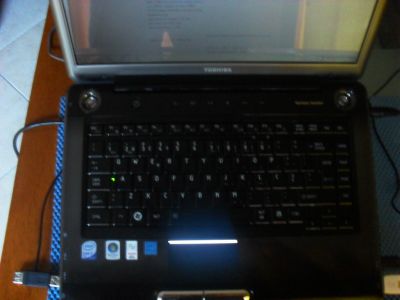 TOSHIBA SATELLITE A-300