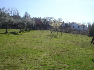 Procuro um terreno para alugar.