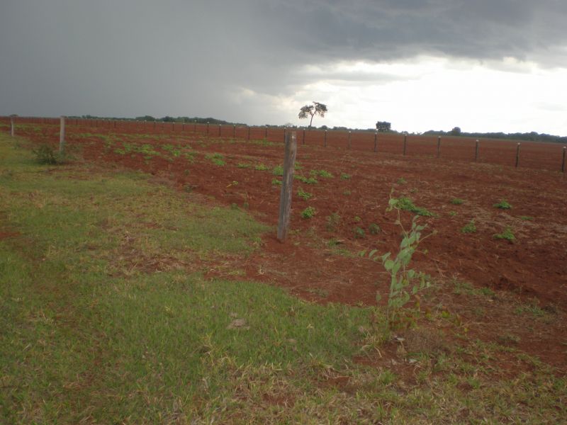 Propriedade Rural 24.2 hectares em Goias no Brasil