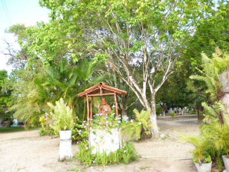 IMÓVEL DE 40 MIL M2 EM GOIANA/PE/BRASIL