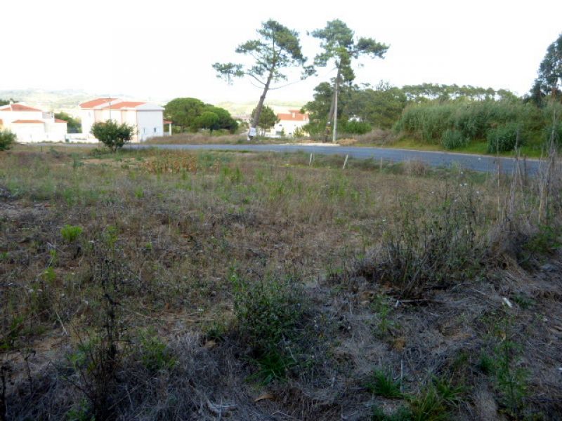 Terreno com 2 artigos, um urbano com moradia em ruínas e outro rústico com o total de 4921 M2.  A 3 