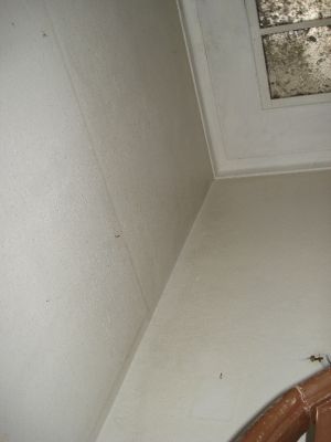 Prédio no centro histórico de Vila do Conde | Porto com loja e habitação