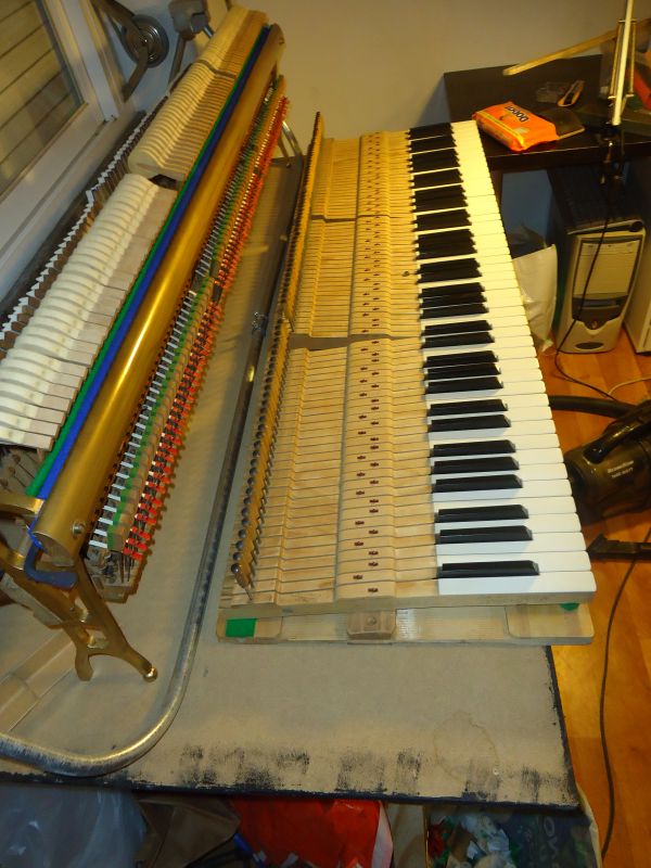 Pianos  Afinador técnico especialista