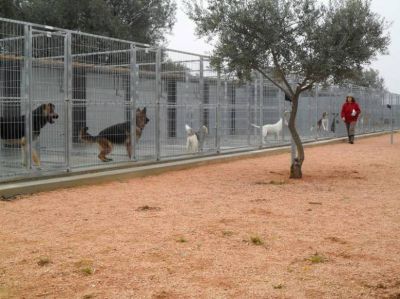 RESIDÊNCIA CANINA FORTE D'ELVAS