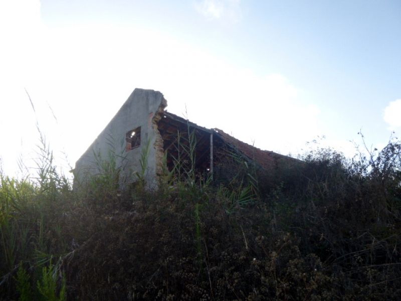 Terreno com 2 artigos, um urbano com moradia em ruínas e outro rústico com o total de 4921 M2.  A 3 