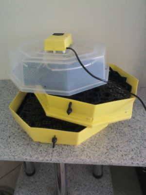 chocadeira com andar