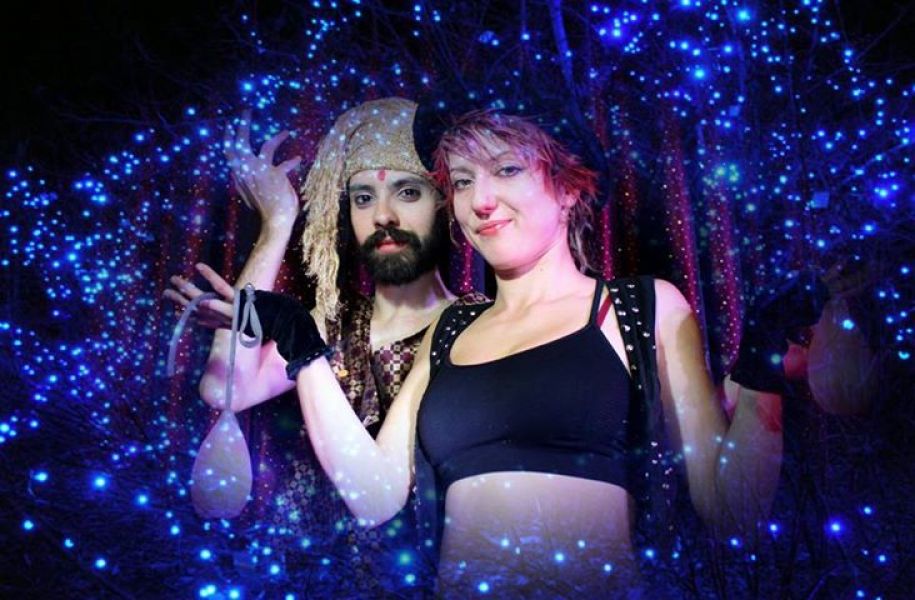 Animação de casamentos