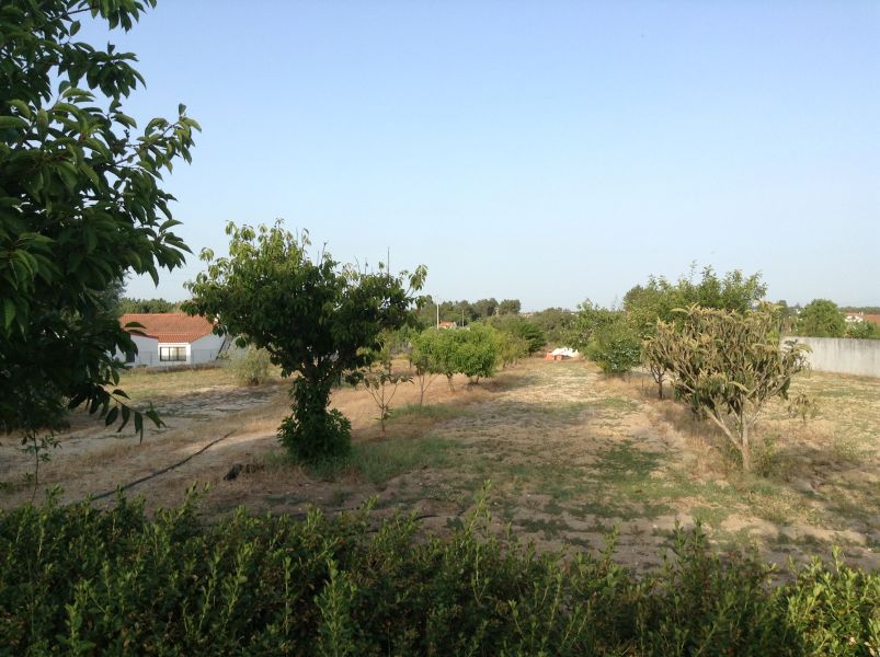 Terreno para Construção