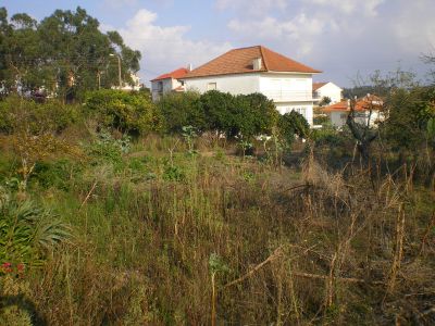 LOTES DE TERRENO URBANIZADOS