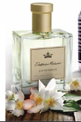 Part Time Comissionista FM Group