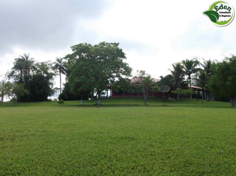 Fazenda pecuária e pupunha com casa de alto padrão, Vale do Ribeira, São Paulo.