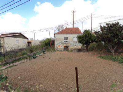 Renovation project in Alcobaça, Lameira