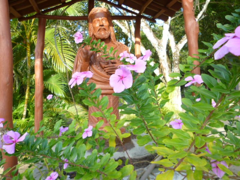 Imóvel rural no Brasil para investidor inteligente