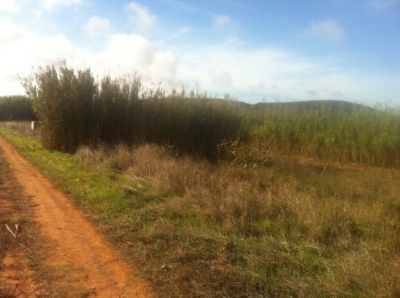 Vende-se Terreno em Vila do Bispo
