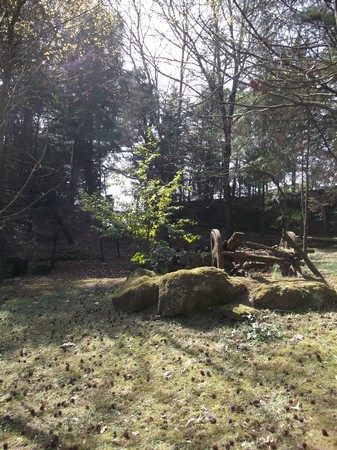 120322.00 Quinta das Gordas em Paço de Sousa