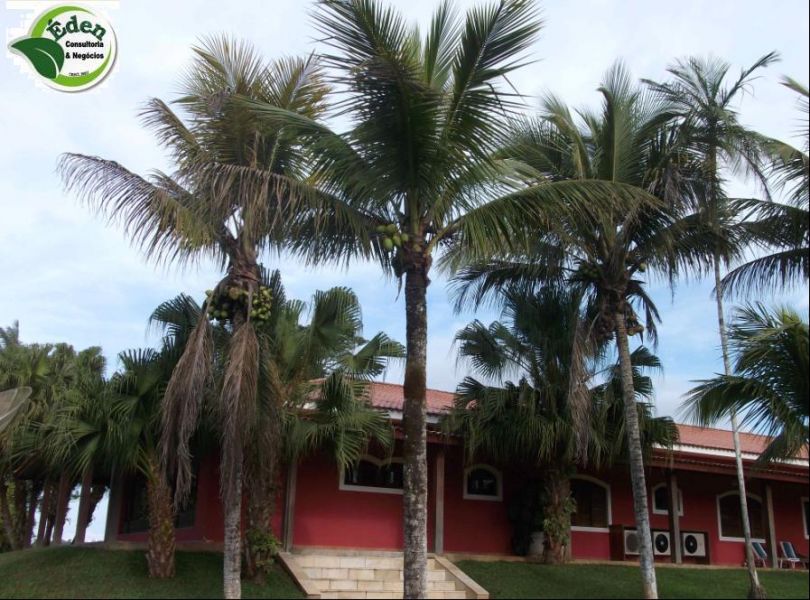 Fazenda pecuária e pupunha com casa de alto padrão, Vale do Ribeira, São Paulo.