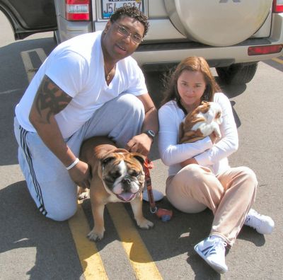 Inglês bulldog filhotes para adoção