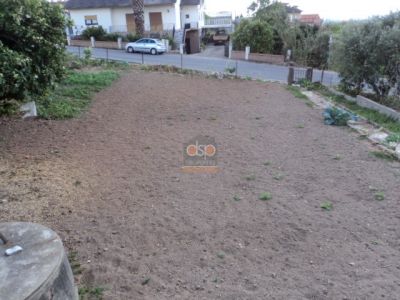 Renovation project in Alcobaça, Lameira