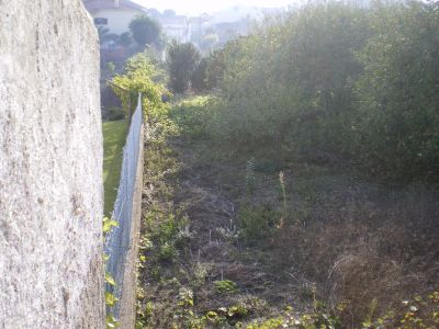 LOTES DE TERRENO URBANIZADOS