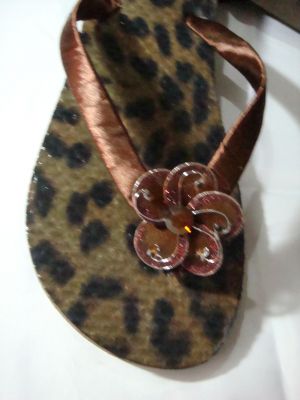 Chinelos Tipo Havaianas 