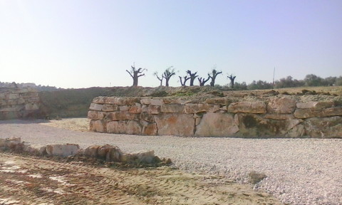 A 45 minutos de Lisboa e 4 km da A1 em Santarém, implantada num terreno com 17.000 m², uma moradia e