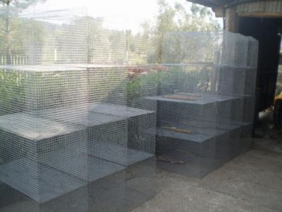 gaiolas em rede galvanizada possiblidade de entrega