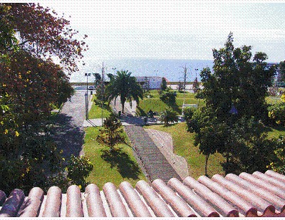 T0 - Apartamento em Funchal 